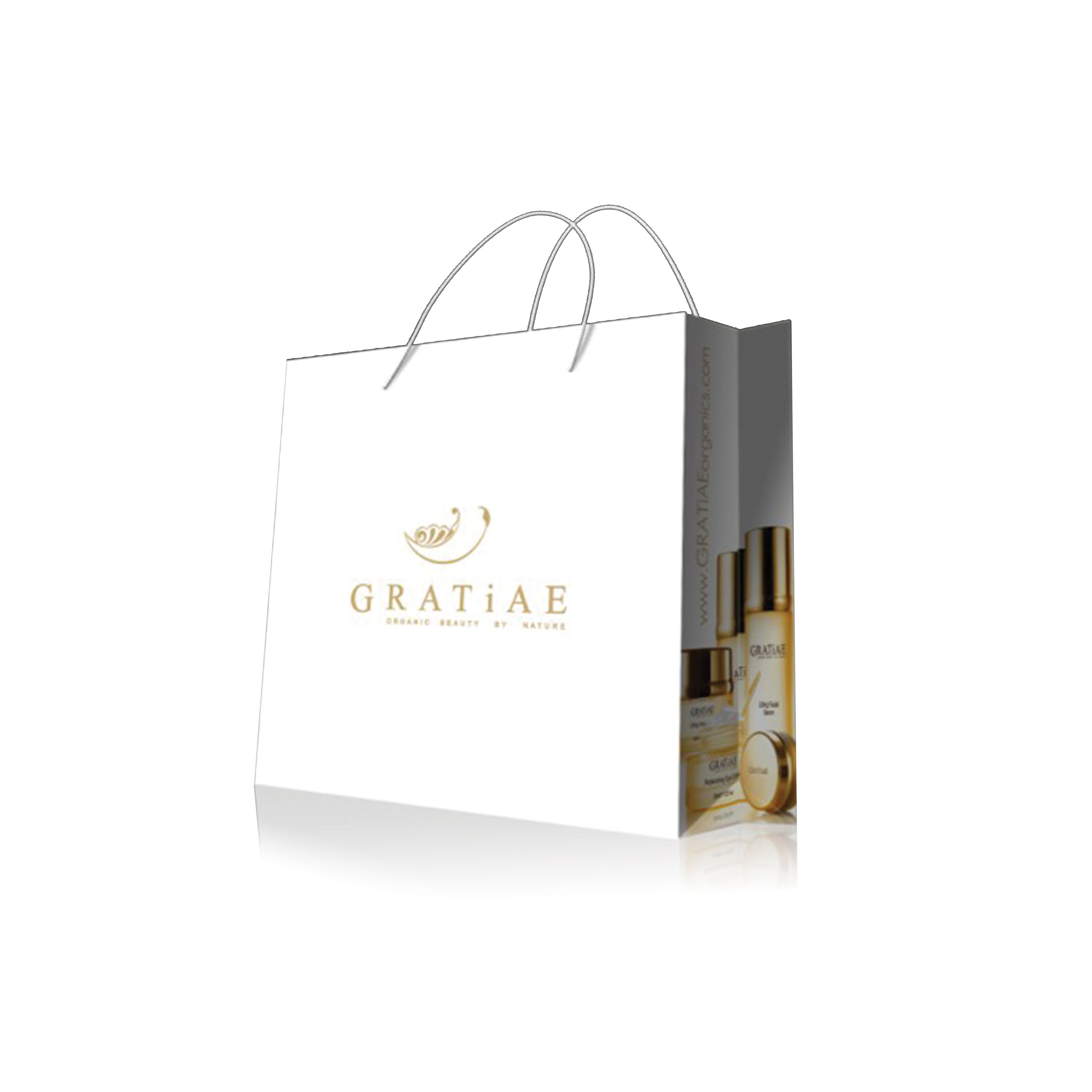 Sample of a shopping bag created for Premier Dead Sea Skin Care that shows images of the skin care bottles on the side.